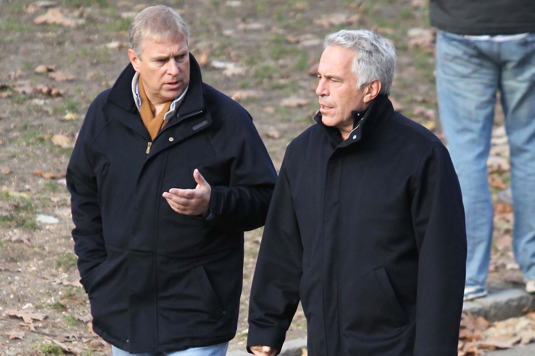 Andrew a affirmé avoir rendu visite à Epstein à New York (photo) pour mettre fin à leur amitié en 2010.