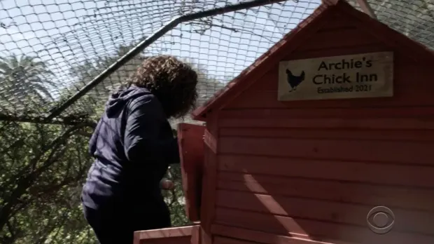 La coopérative a une cabane nommée « Archie's Chick Inn »