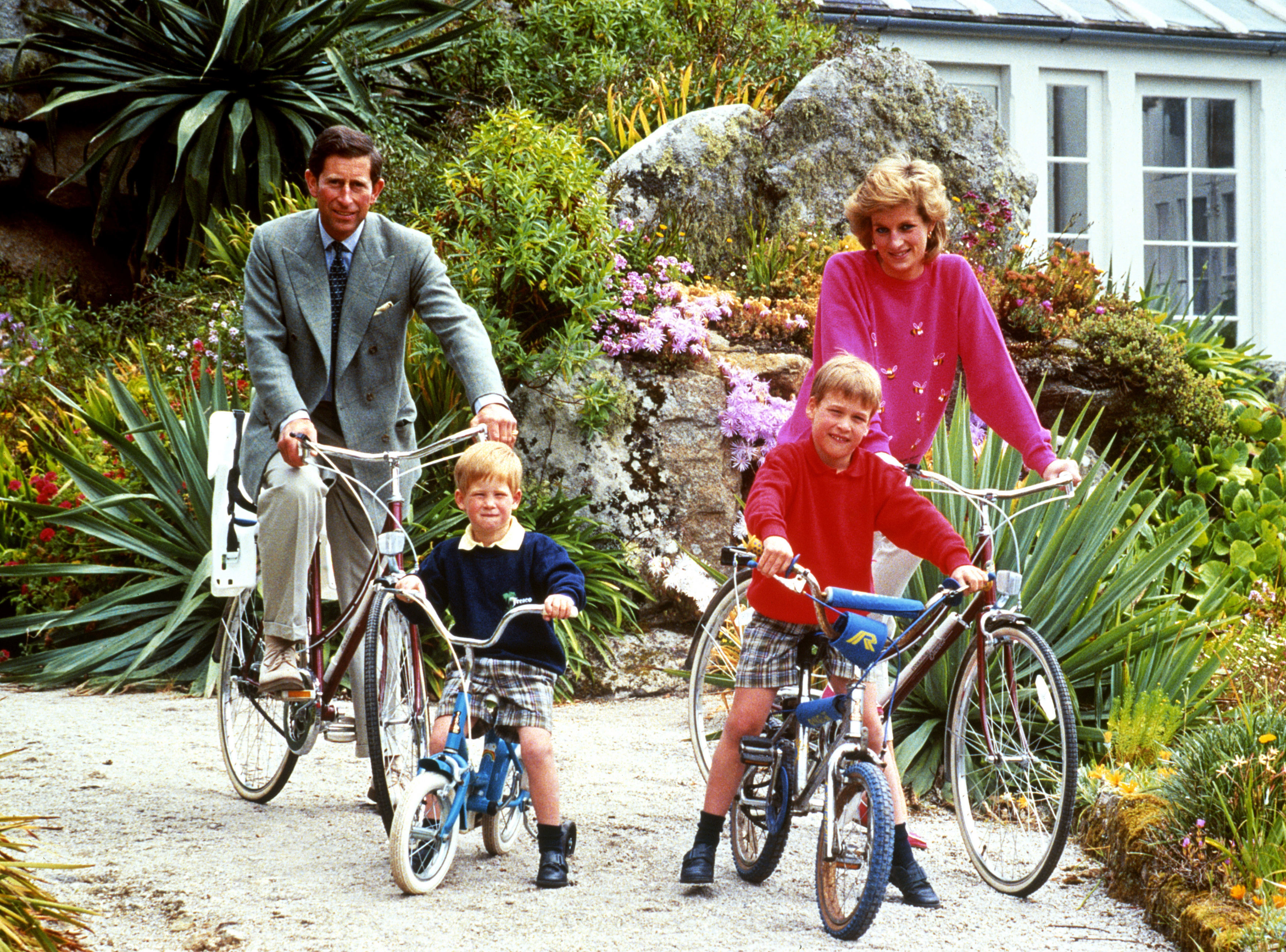 Le roi Charles et Diana, princesse de Galles, ont eu deux fils pendant leur mariage avant leur divorce en 1996.